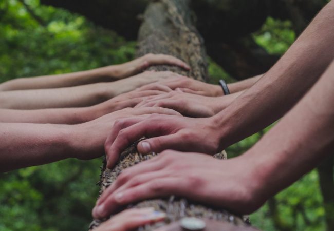 shane-rounce-DNkoNXQti3c-unsplash shane-rounce-DNkoNXQti3c-unsplash